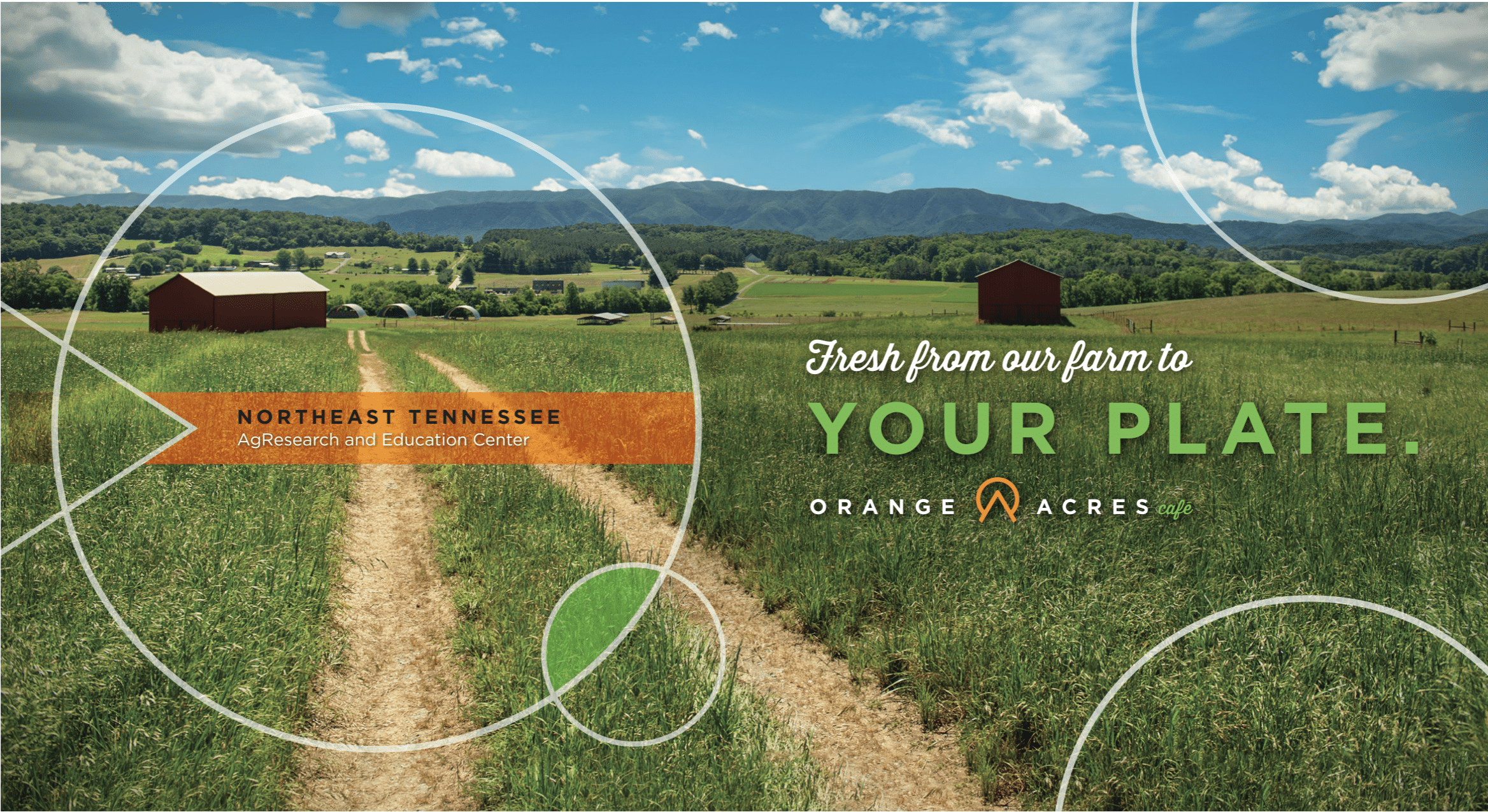 Orange Acres Cobranded Wall